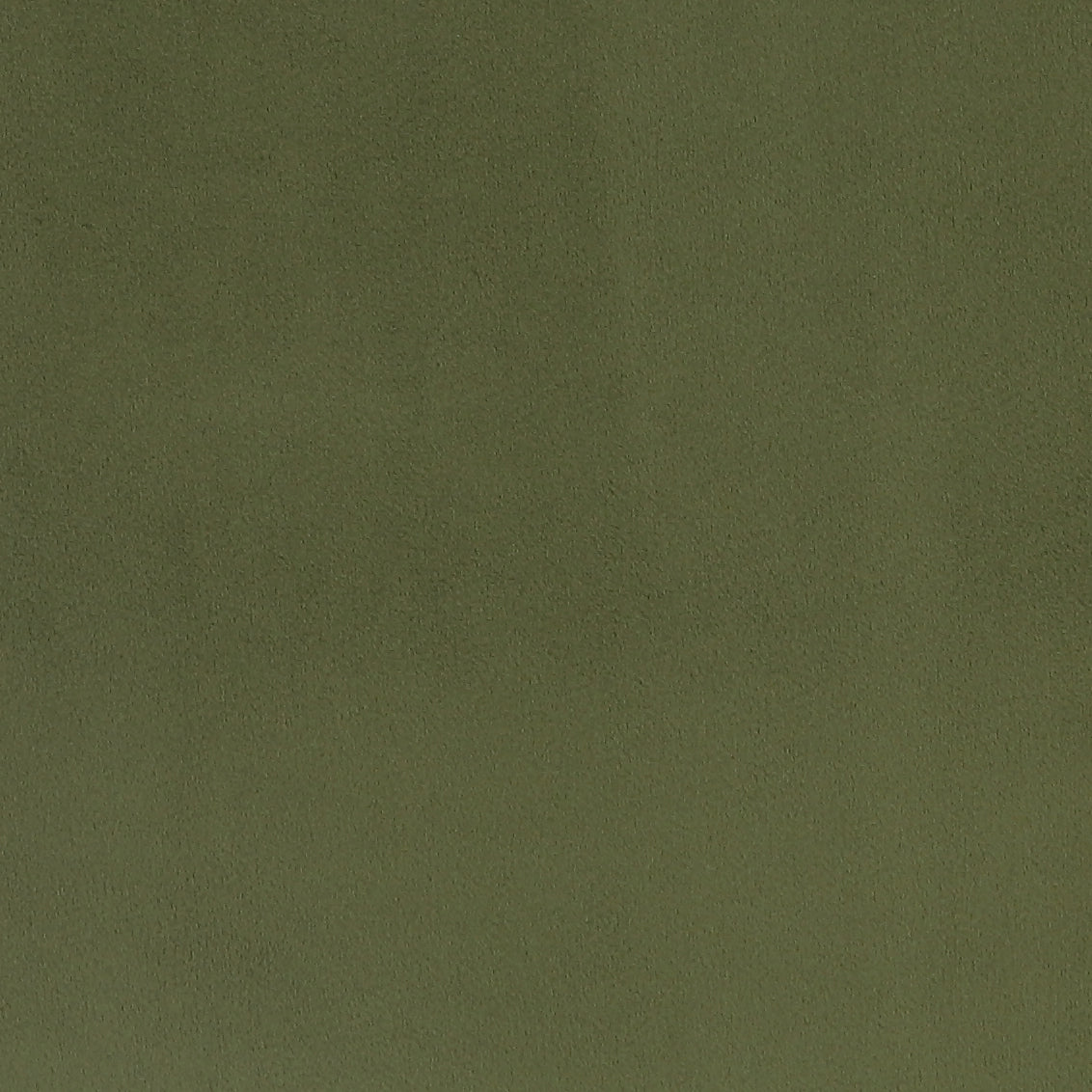 Velvet Sage Green Fabric Swatch