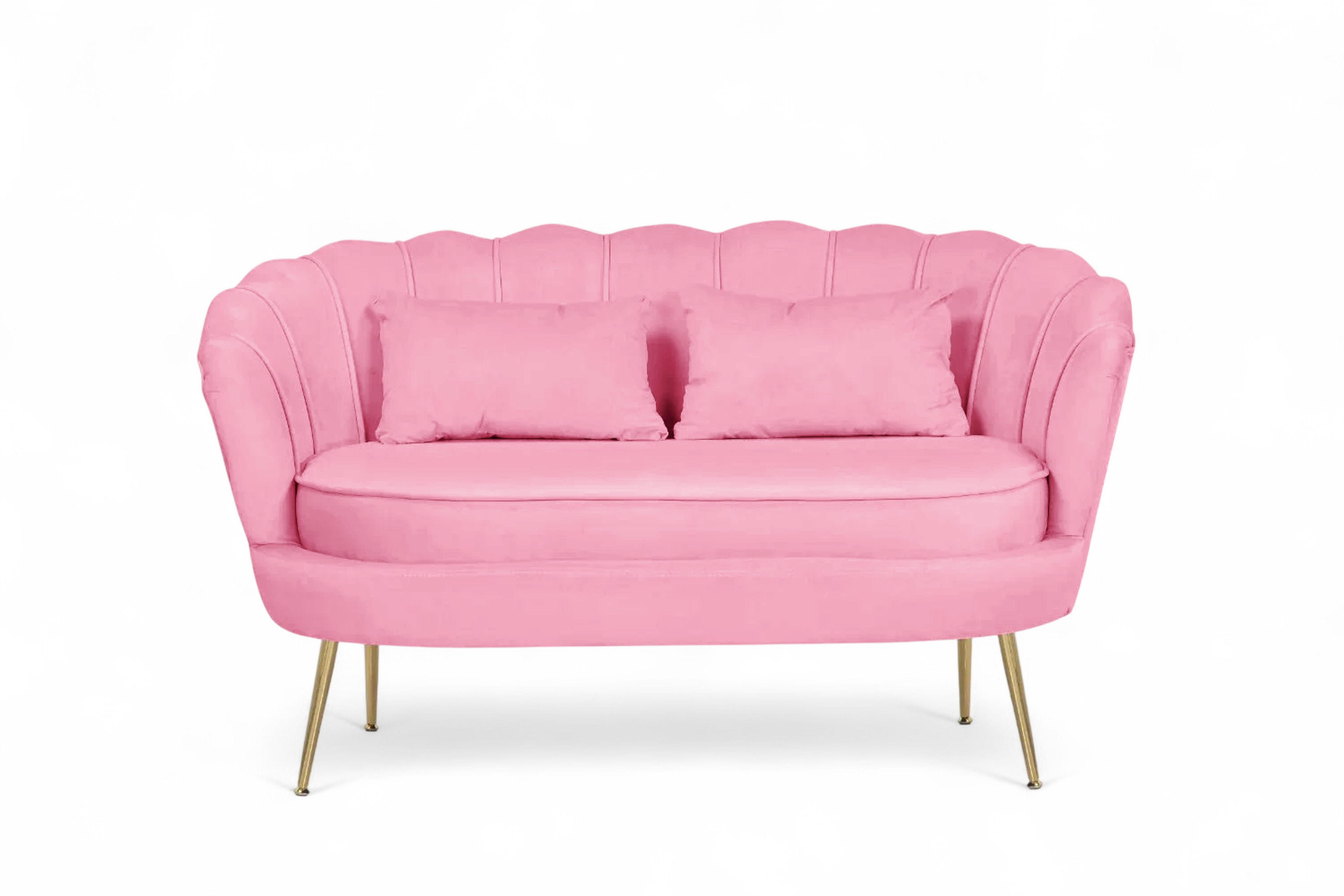 Velvet Pink Seater Accent Loveseat Sofa DAISY